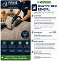 🐾 Heavy Pet Hair Removal